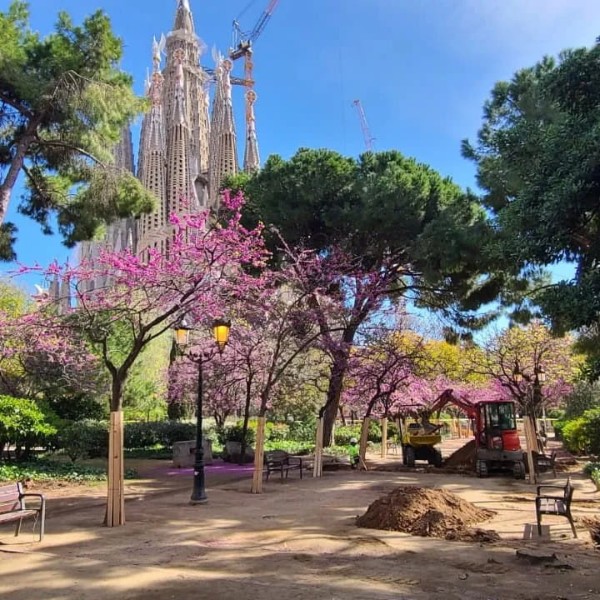 OSERMA inicia la renovación del sistema de riego en la Plaça Sagrada Família de Barcelona