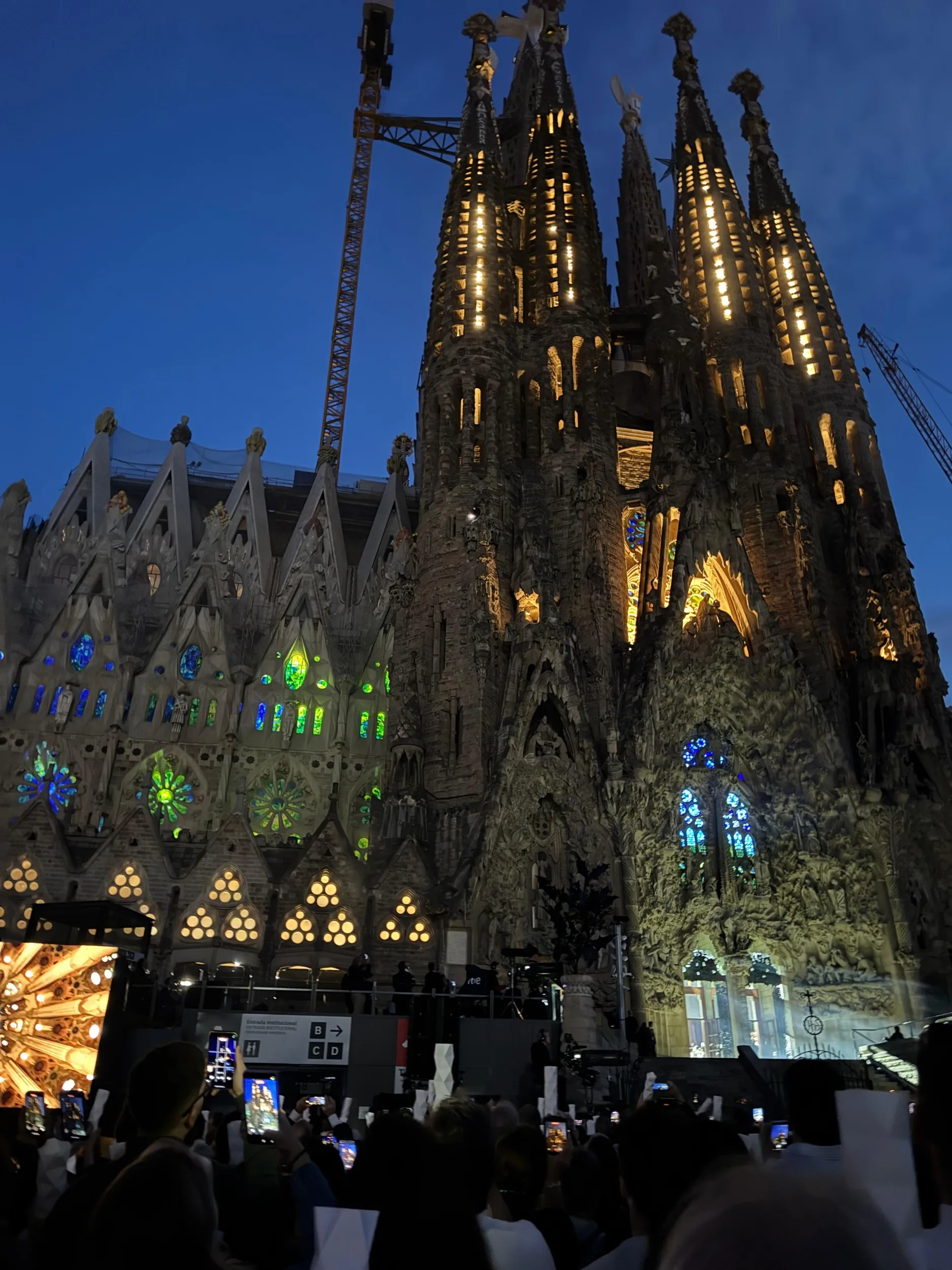 sagrada-familias-papa